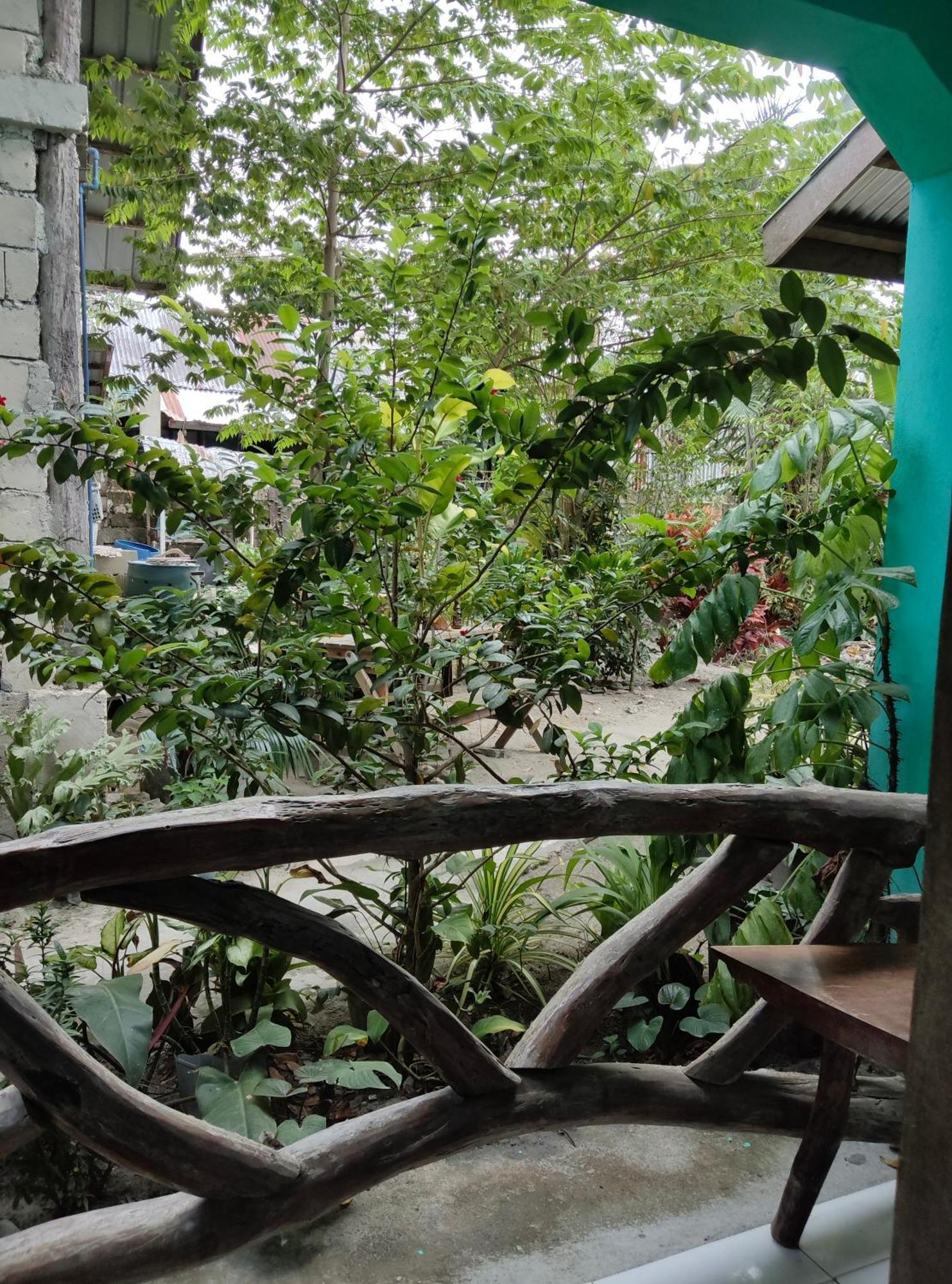 Shenamae Pension&apartel Homestay *